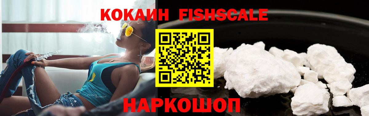 Чайковский  Cocaine Fish Scale  Cocaine Перу  Вход с VPN 