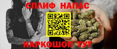 МДПВ Брянск