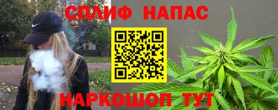 МДПВ Брянск