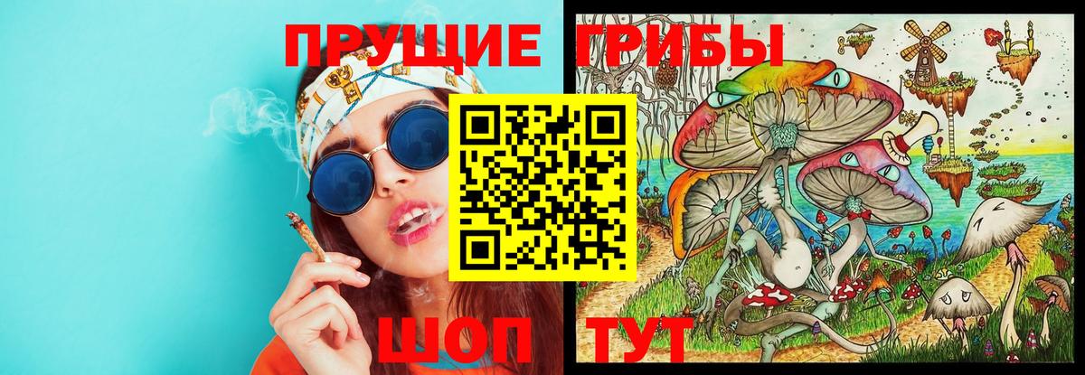 Галлюциногенные грибы GOLDEN TEACHER  Вход с VPN  Чайковский 